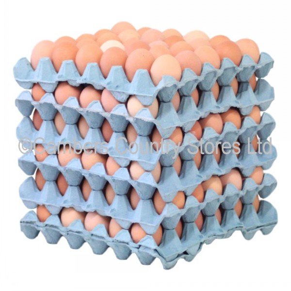 Local Free Range Eggs Tray 30pcs Cambers Country Store
